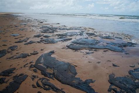 Mystery Oil Spills Blot More Than 130 Brazilian Beaches The Straits Times