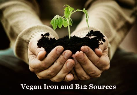 Try out these 14 foods and beverages infused with b12 and never worry again! Vegan Iron & B12 Sources | Vegan iron, Food, Real food recipes