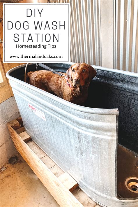 12 genius mudroom dog wash station ideas. DIY Dog Wash — Thermaland Oaks in 2021 | Diy dog wash, Dog ...