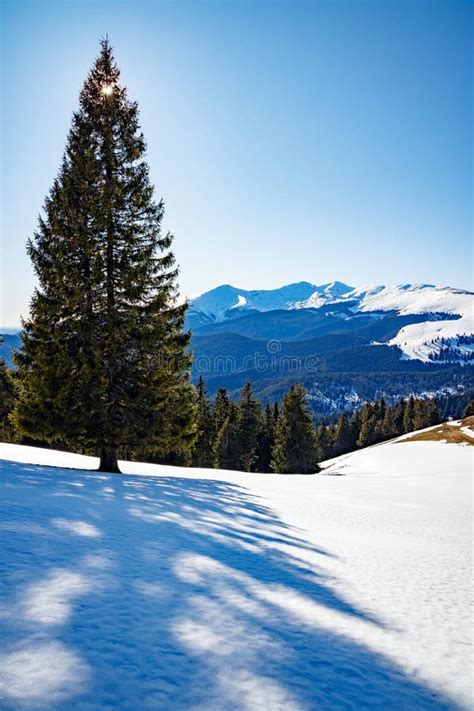 Discover Beautiful Romanian Mountains Winter Landscape Stock Photo