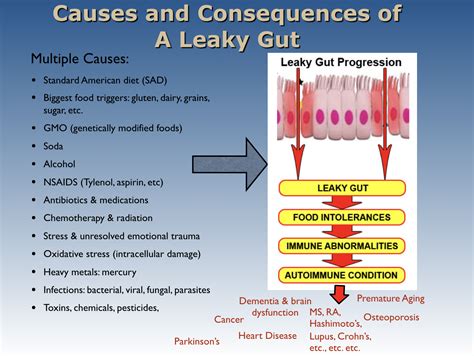 Foods That Cause Leaky Gut