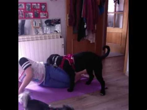 Dog Wants To Join Owners Yoga Party Jukin Licensing