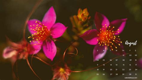 August 2019 Desktop Calendar Wallpaper 2019 Calendar Calendar