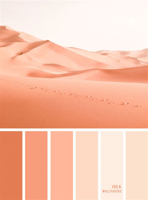 Color Inspiration Peach Sand Color Palette Idea Wallpapers Iphone