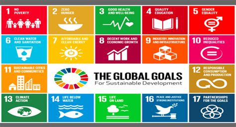3.1 by 2030, reduce the global maternal mortality ratio to less than 70 per 100 000 live. JGI and the new Sustainable Development Goals - Jane ...