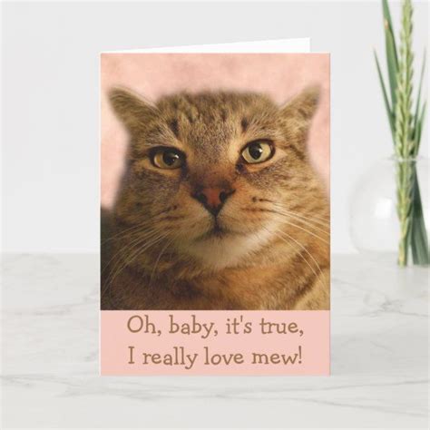 Funny Cat Poetry Custom Valentine S Day Holiday Card Zazzle