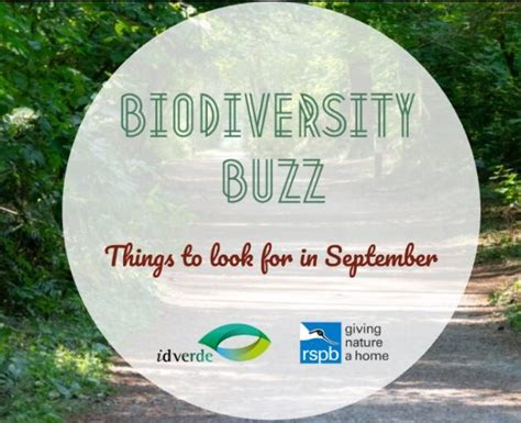 Biodiversity Buzz Things To Look For In September Idverde