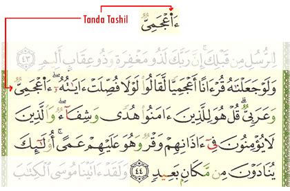 Cuma perlu baca 20 muka surat sehari. Cerita Pendek Aku™: Hukum istimewa dalam al-Quran: Tashil