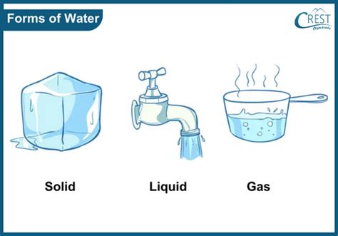 Water Forms Properties Sources Etc Class 1 Science