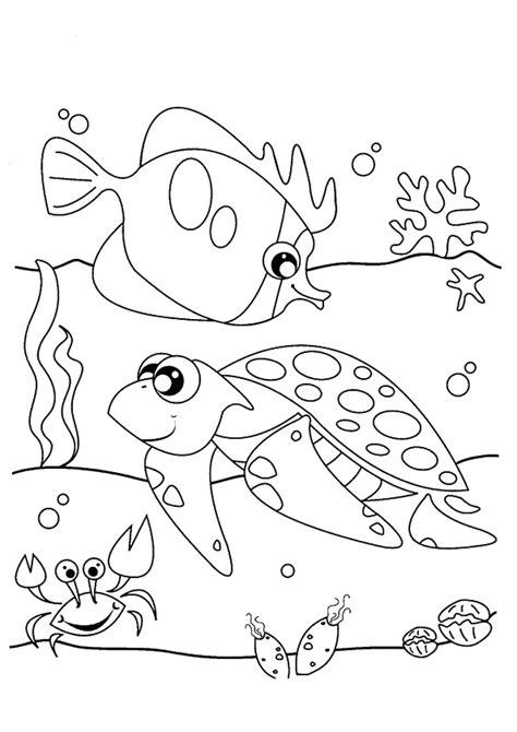 Realistic Ocean Animals Coloring Pages