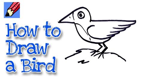 How To Draw A Bird Real Easy For Kids And Beginners Youtube