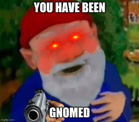 Gnomed Imgflip