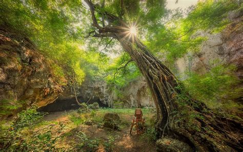 Nature Landscape Sun Rays Trees Shrubs Cave