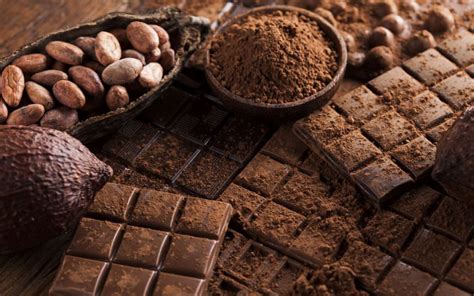 Avantages Pour La Santé Et Les Risques Du Chocolat Chrysalide