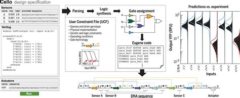 Genetic Circuit Design Automation Science