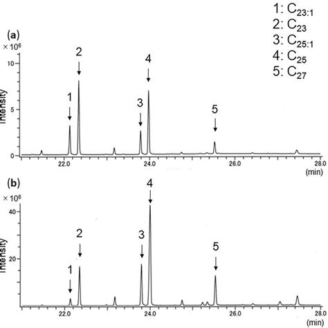 Total Ion Chromatogram Of GC MS Profiles Of Hydrocarbons Of A Larvae