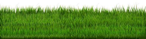 Grass Border Isolated Grasses Green Vector Isolated Grasses Green Png And Vector With