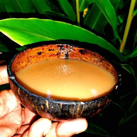Codex Approves Regional Standard For Kava Products For Use As A