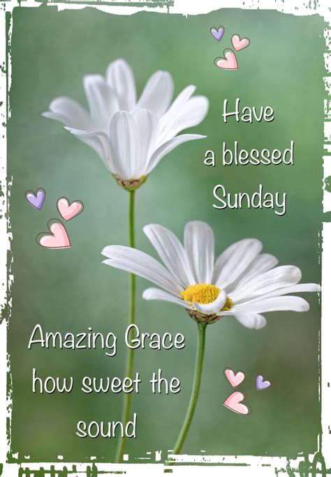Have a blessed Sunday, from Michele | Blessed sunday, Have a blessed sunday, Blessed sunday quotes
