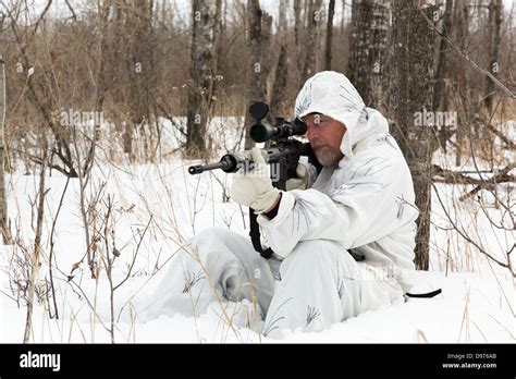Coyote hunting in the winter Stock Photo - Alamy