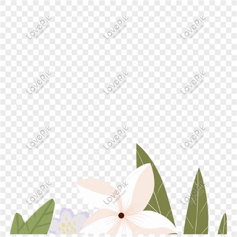 Gambar Desain Bunga Bakung Putih Dengan Daun Hijau Png Unduh Gratis