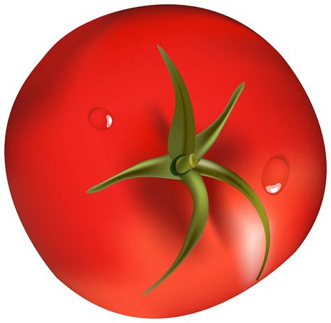 Clipart Png Tomato Clipart Png Tomato Transparent Free For Download On