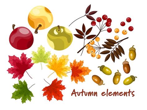 Premium Vector Set Of Autumn Elements