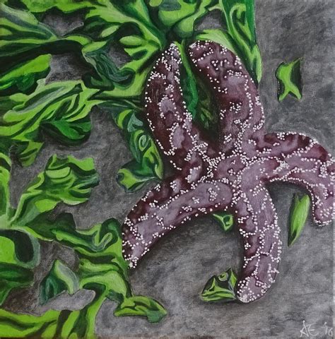 Purple Sea Star Painting By Amelia Emery Fine Art America
