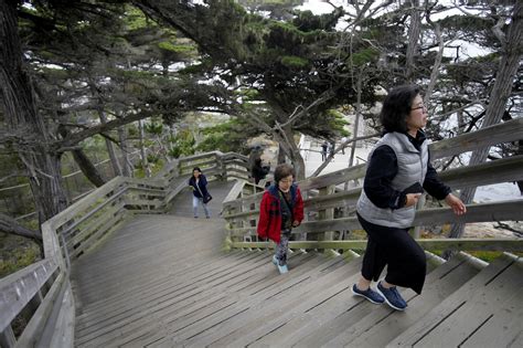 Photos The Lone Cypress In Pebble Beach Suffers Storm Damage