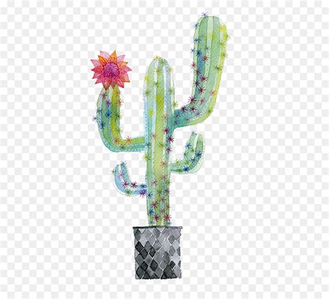 Does anyone know if you can obtain water using a different method? Cactus Watercolor Painting at GetDrawings | Free download