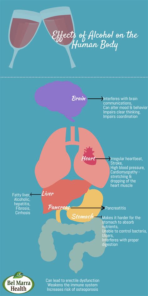 Infographic Effect Of Alcohol On Human Body