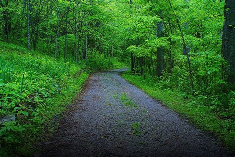 Kentucky Wilderness Road Flickr Photo Sharing