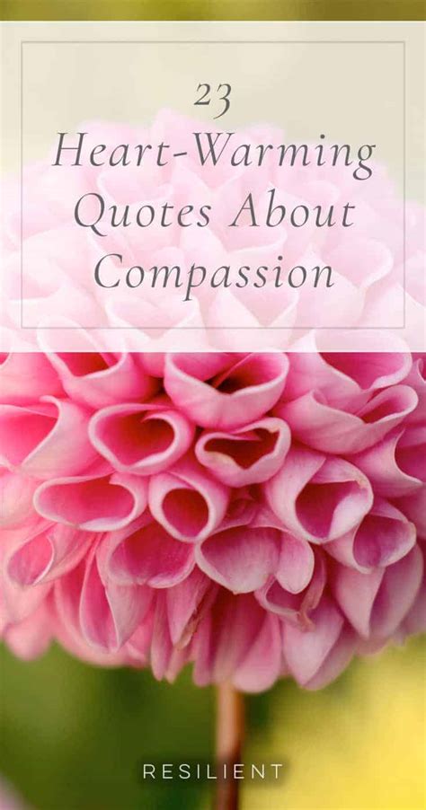Hope you'll find the inspiration and motivation you already have inside. 23 Heart-Warming Quotes About Compassion - Resilient