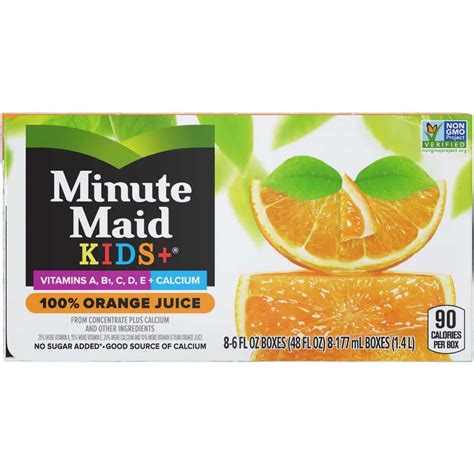 Minute Maid Kids 100 Orange Juice Boxes 8 Ct 6 Fl Oz Greatland
