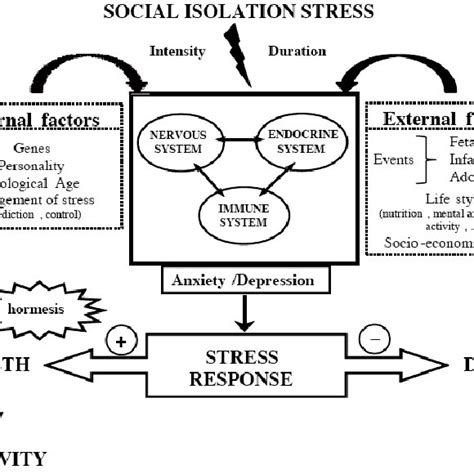 Factors That Influence The Stress Response Psychological Stressors