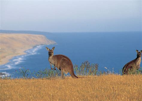 Discover Australias Authentic Side Audley Travel Uk