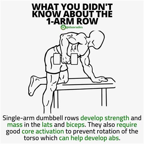 The One Arm Row Is A Great Unilateral Pulling Movement To Develop The