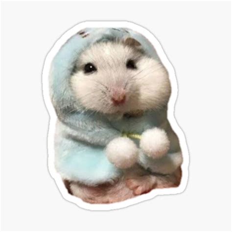 Peace Hamster Meme Funny Sticker By Aminelemihi04 Redbubble