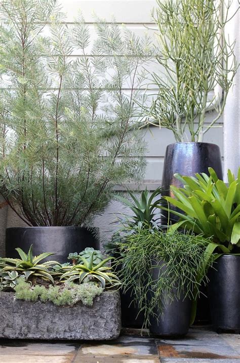 Stylish containers can give your garden a boost, but the material you pick can determine the life of your plant. Potted Garden Design Ideas & Tips | outdoortheme.com