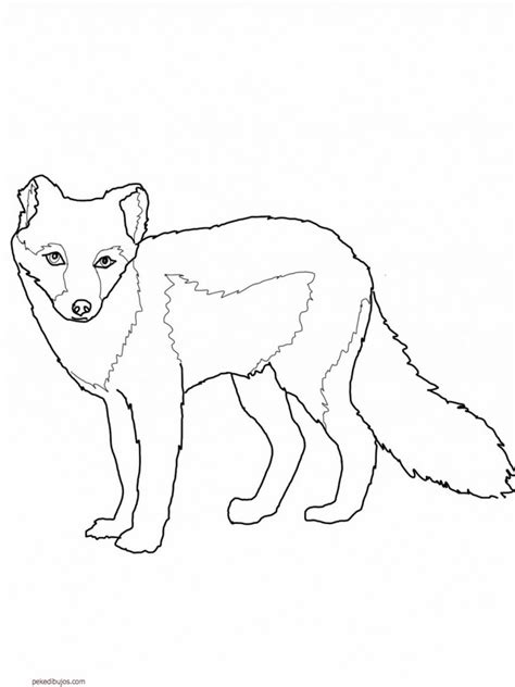 Ver más ideas sobre zorros dibujo, arte de zorro, dibujos de animales. Dibujos de zorros para colorear