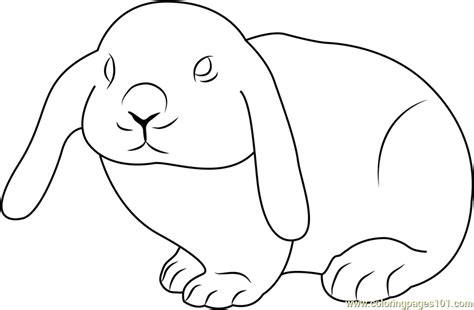 Cute Rabbit Coloring Page For Kids Free Rabbit Printable Coloring