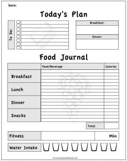 The Best Free Diet Journals - Bariatric Surgery Source