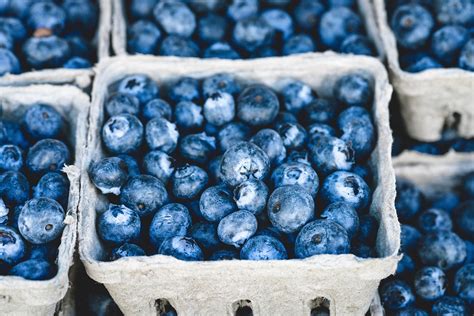 Blue Foods That Are Incredibly Good For You