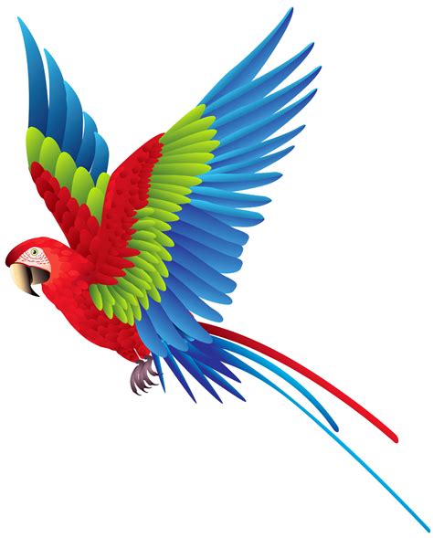Burung Elang Png Vector Parrot Macaw Flying Clipart Transparent My