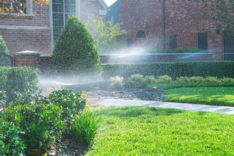 Perfect Lawn Maintenance Timing When To Fertilize Water Spray Weeds