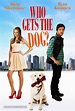 Who Gets the Dog? (2016) movie poster