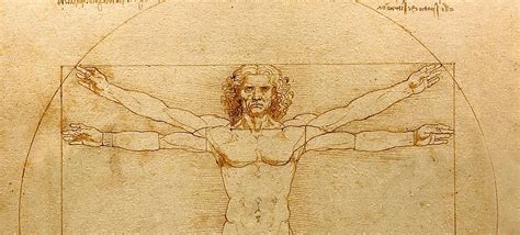 Leonardo Da Vincis ‘vitruvian Man To Be Unveiled In Landmark Venice Exhibition The Arts Shelf