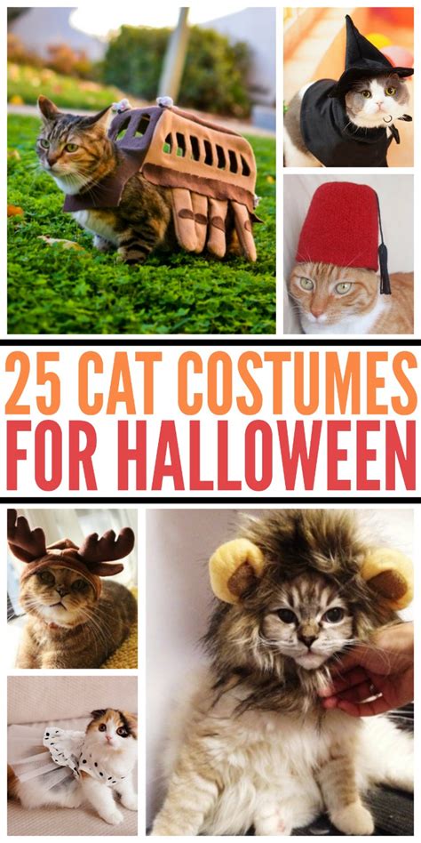 25 Cat Costumes For Halloween Budget Earth