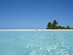 Honeymoon Island/Aitutaki Free Stock Photo | FreeImages