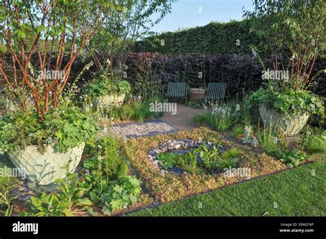 Opening day at the 2023 Royal Horticultural Society Hampton Court